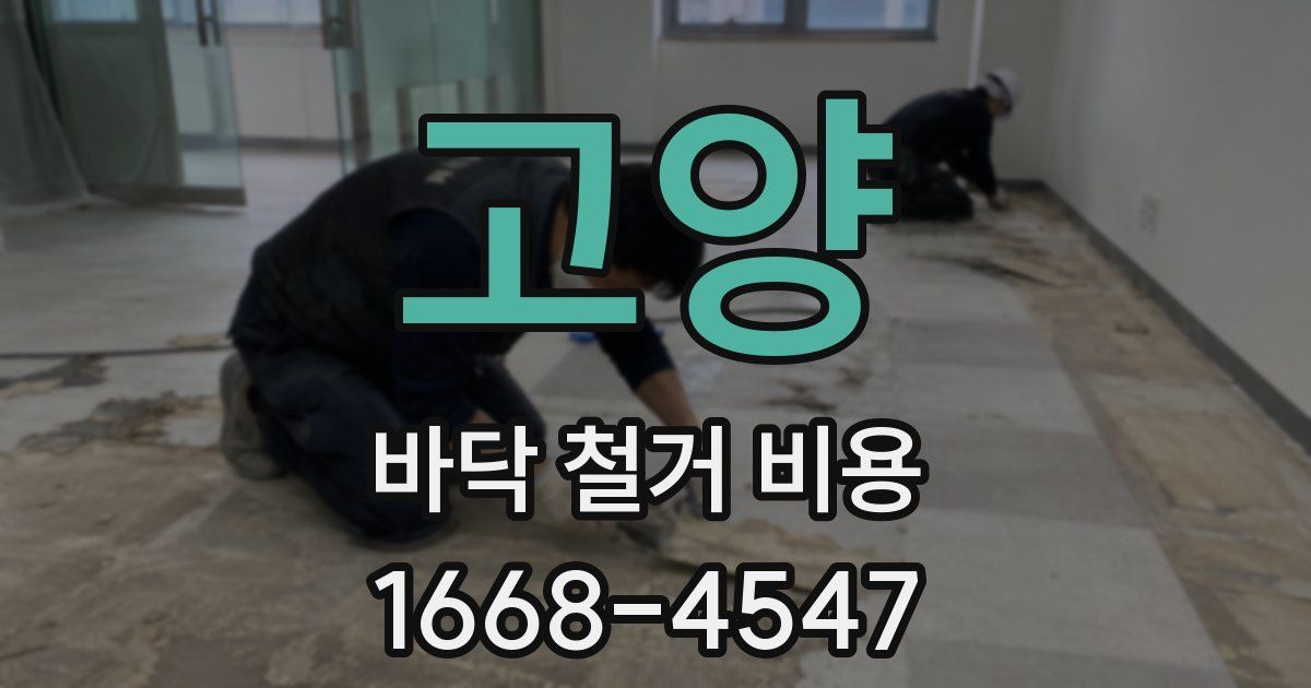 고양 바닥 철거 비용
