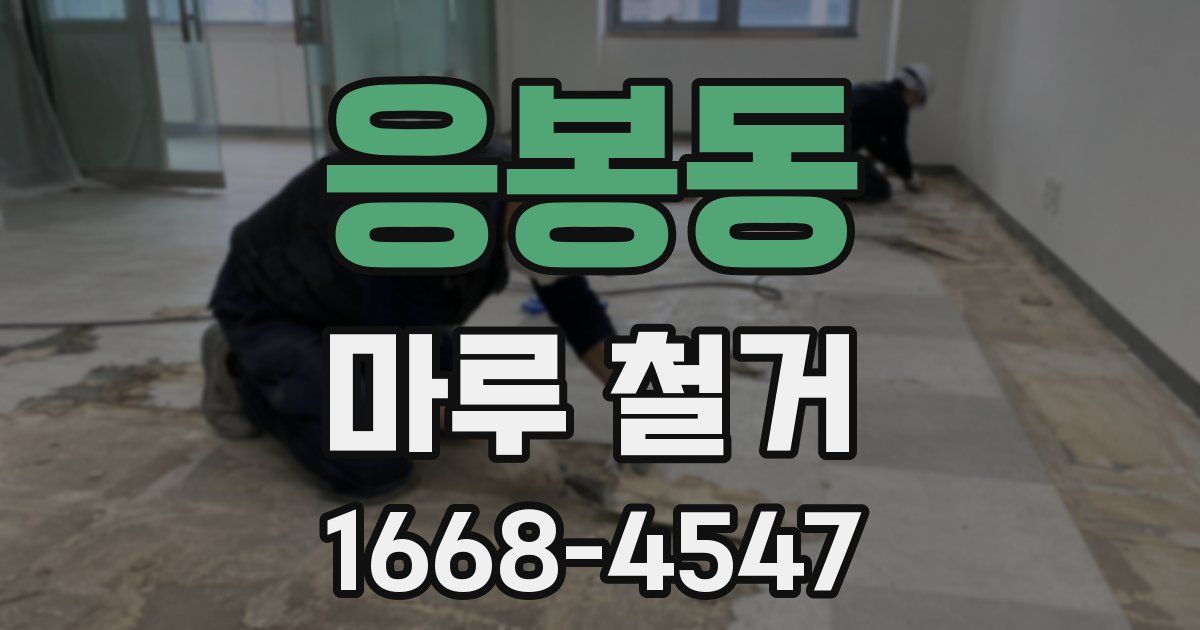 응봉동 마루 철거