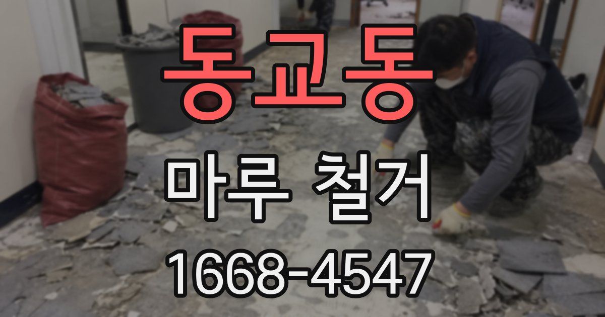 동교동 마루 철거