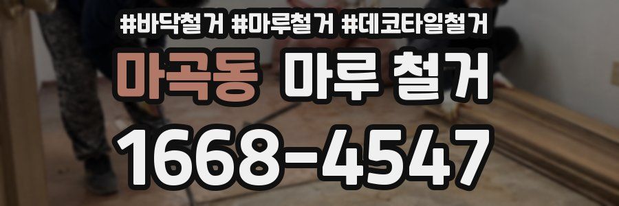 마곡동 마루 철거