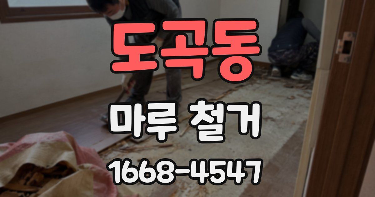 도곡동 마루 철거