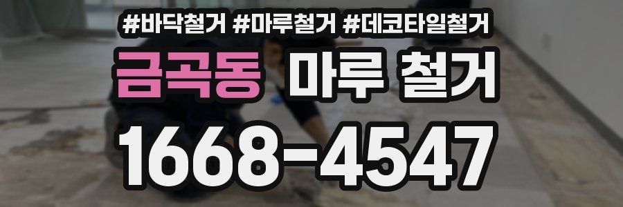 금곡동 마루 철거