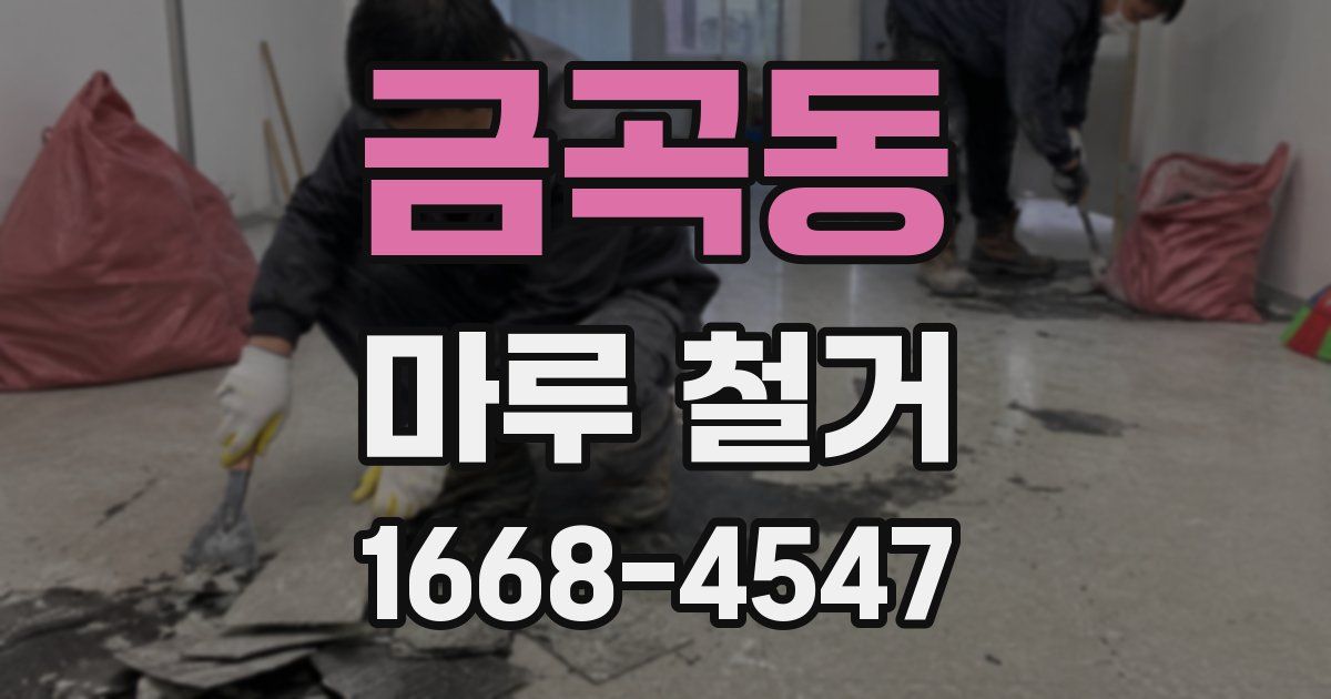 금곡동 마루 철거