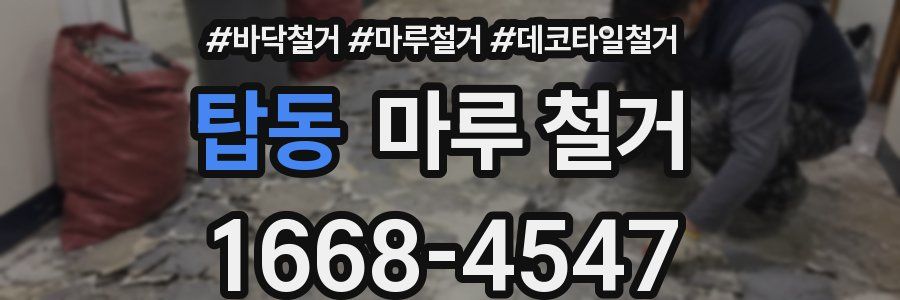탑동 마루 철거
