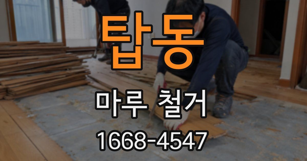 탑동 마루 철거