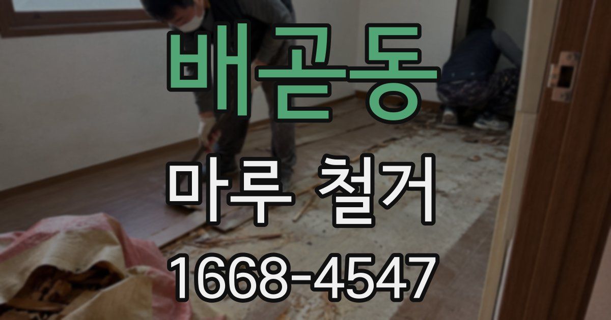 배곧동 마루 철거