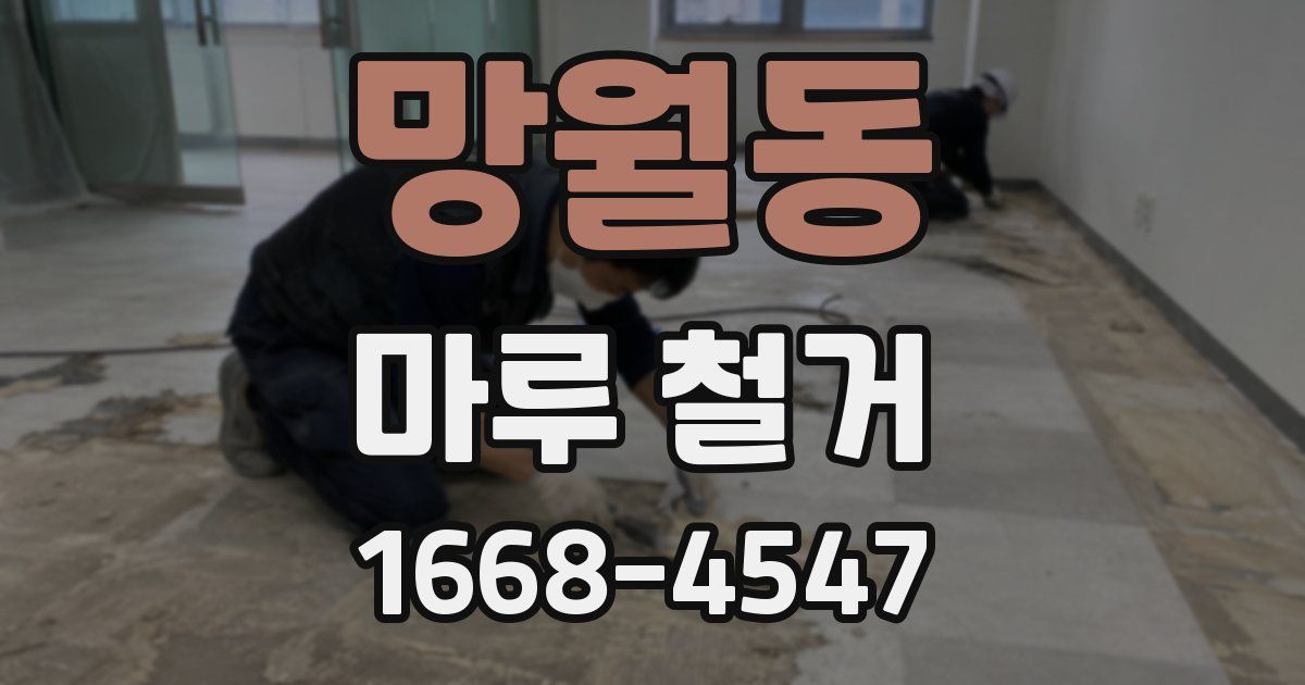 망월동 마루 철거