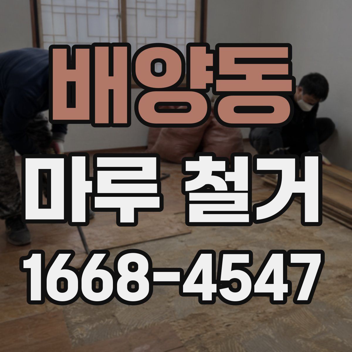배양동 마루 철거