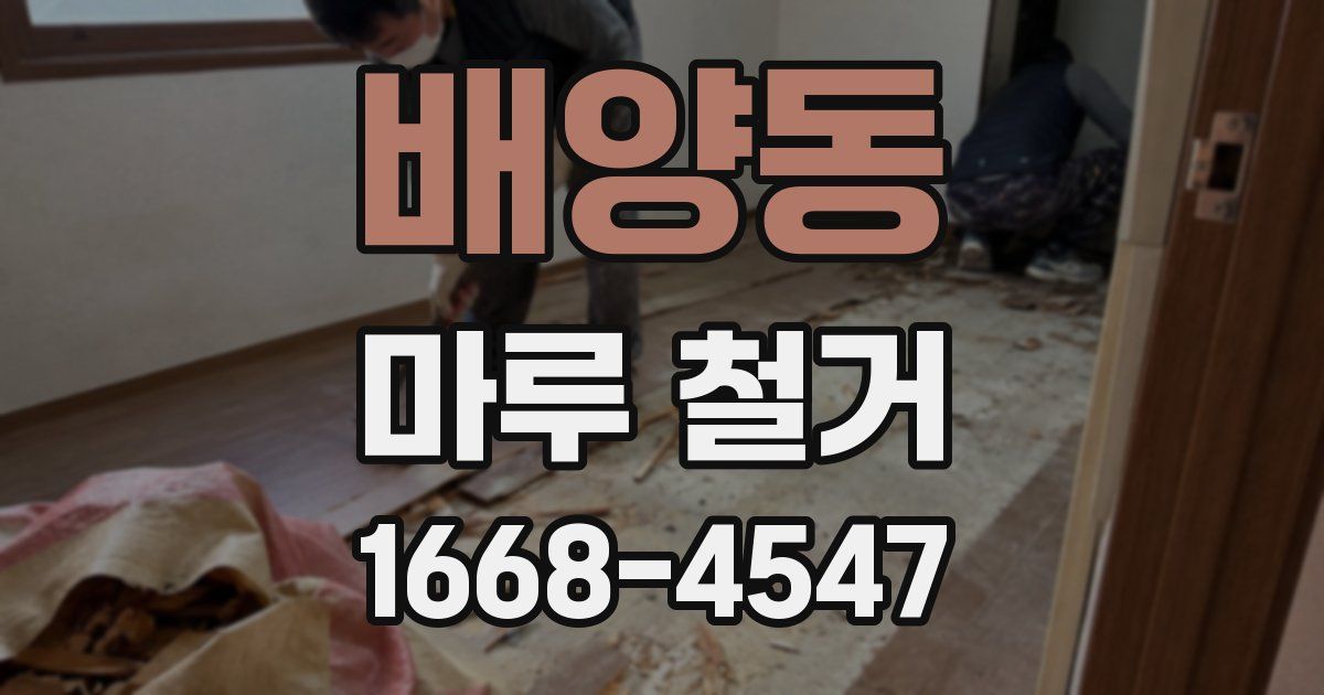 배양동 마루 철거