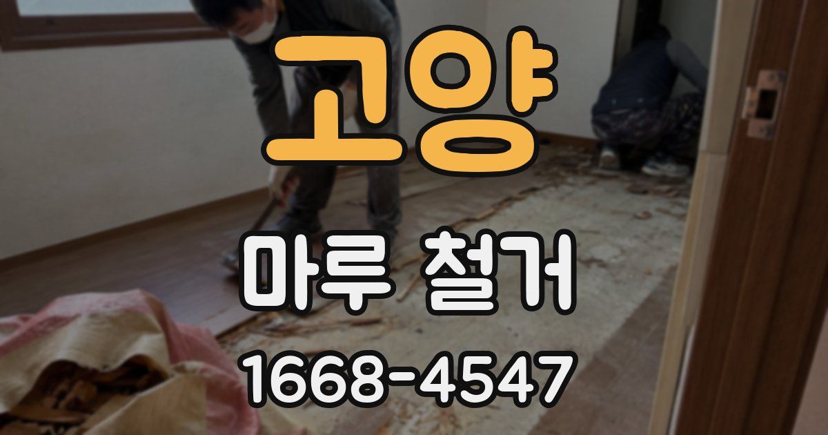 고양 마루 철거