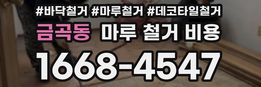 금곡동 마루 철거 비용