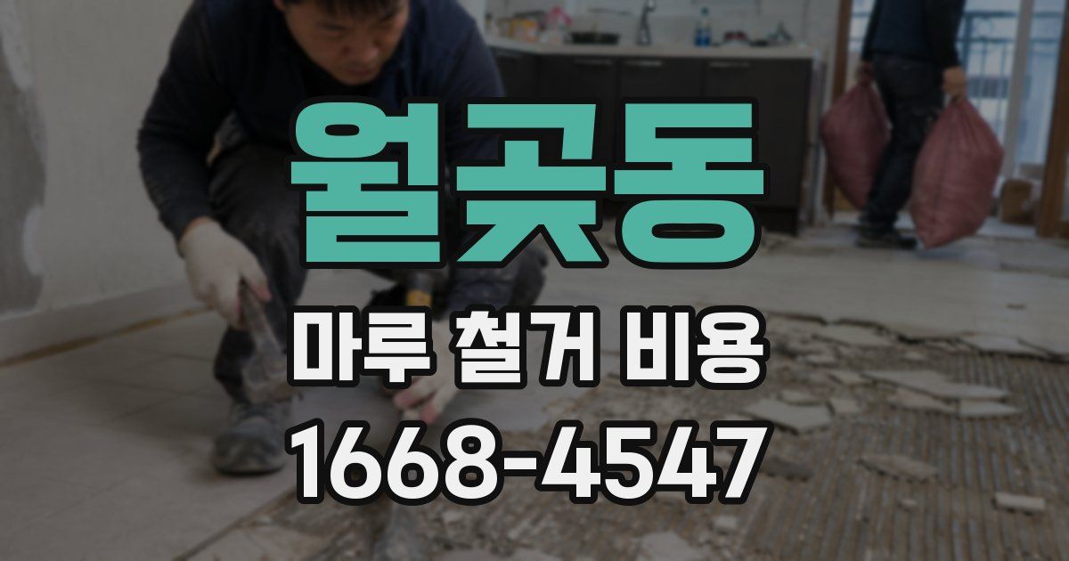 월곶동 마루 철거 비용