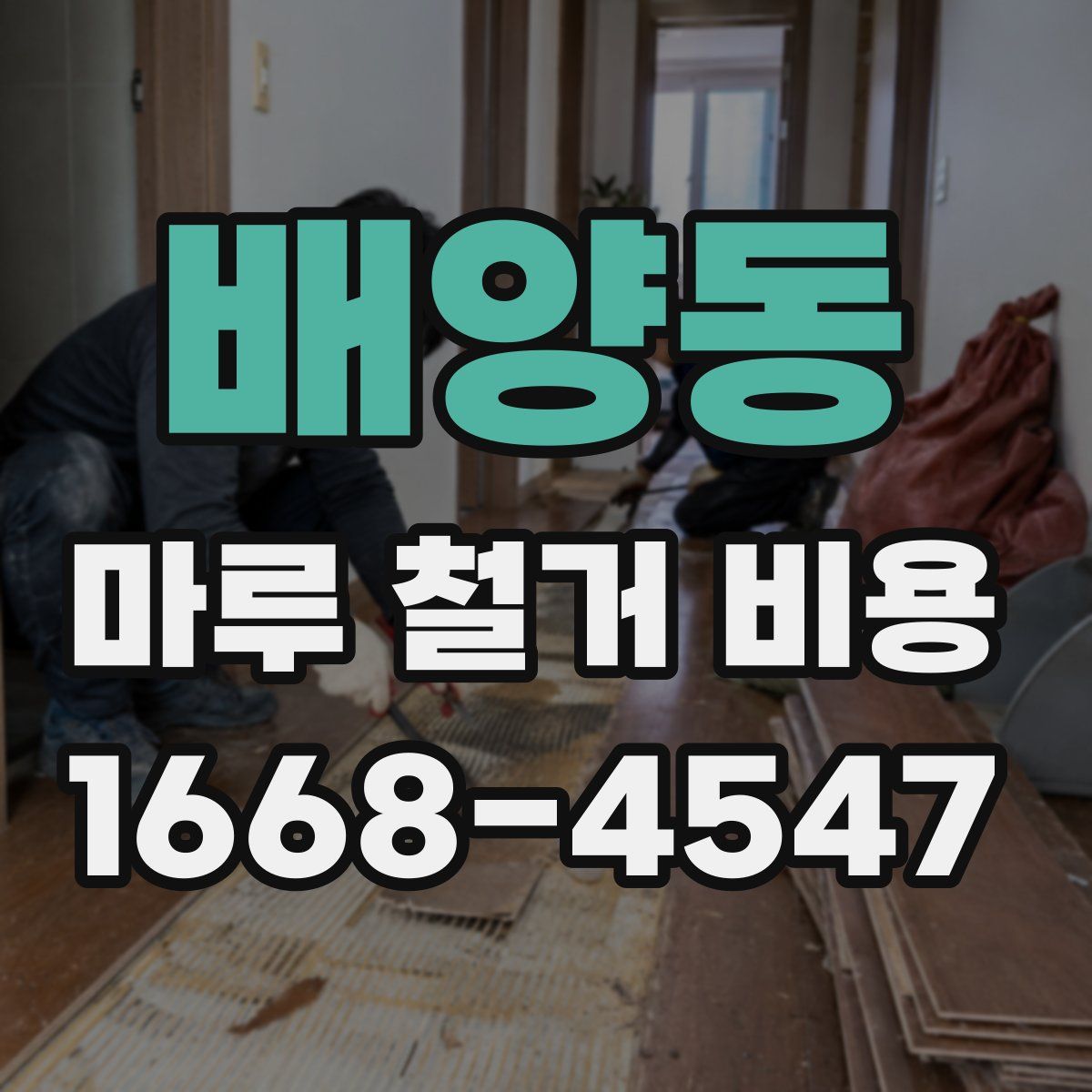 배양동 마루 철거 비용