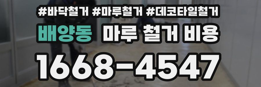 배양동 마루 철거 비용