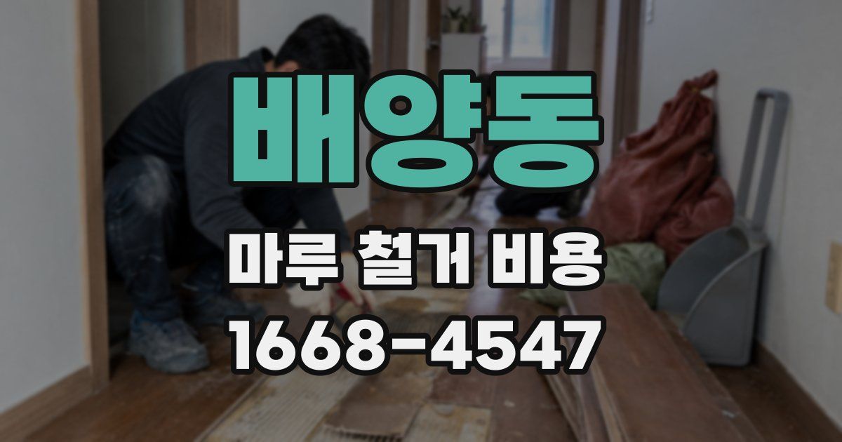 배양동 마루 철거 비용