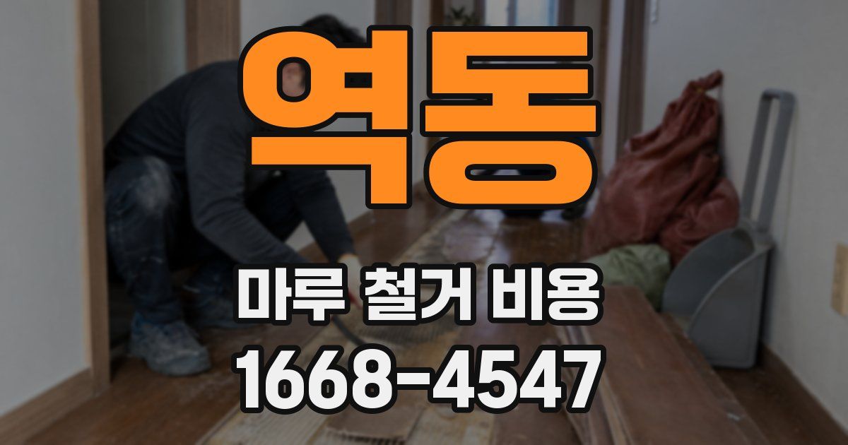 역동 마루 철거 비용