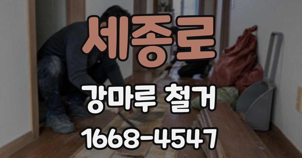 세종로 강마루 철거