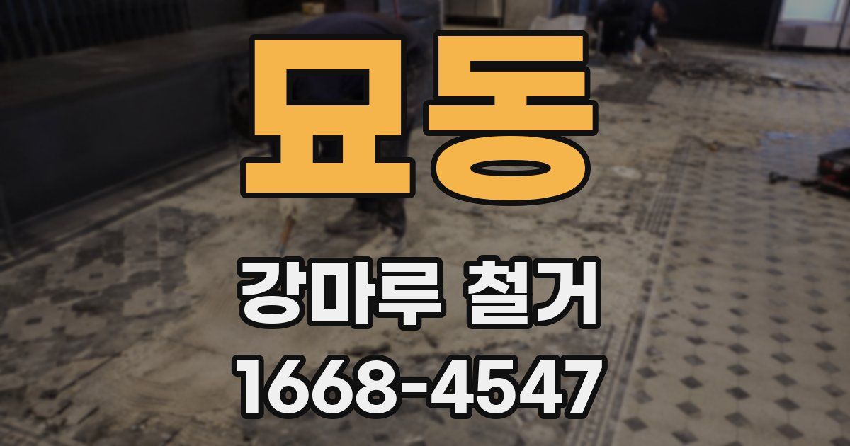묘동 강마루 철거