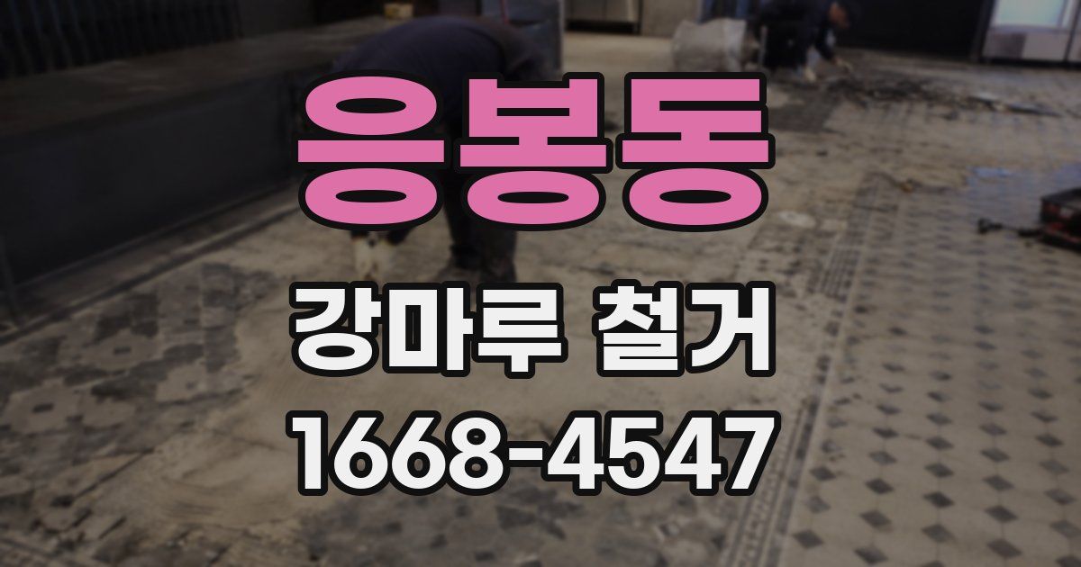 응봉동 강마루 철거