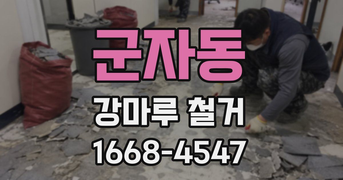 군자동 강마루 철거