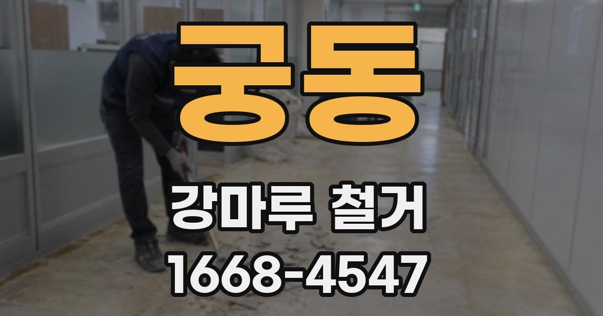궁동 강마루 철거