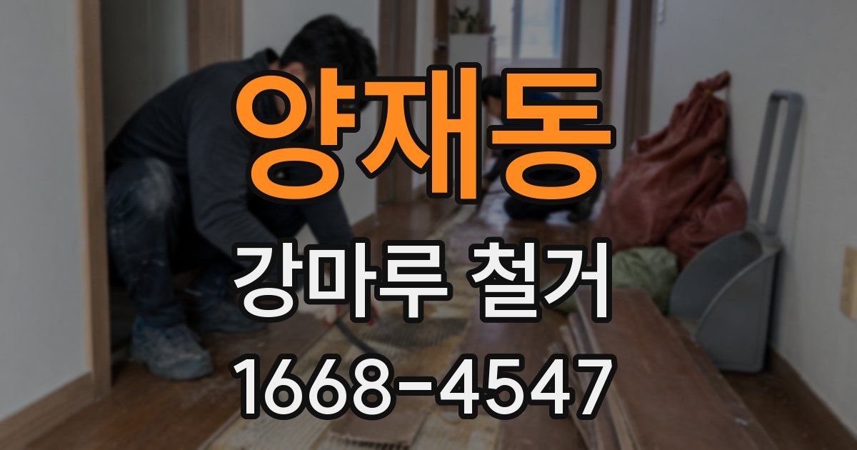 양재동 강마루 철거