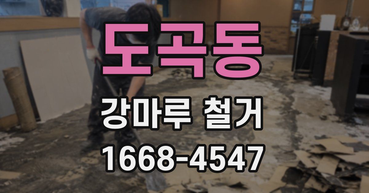 도곡동 강마루 철거