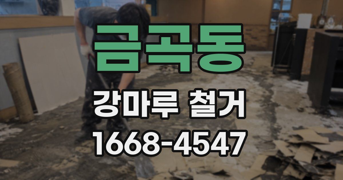 금곡동 강마루 철거