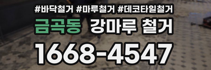 금곡동 강마루 철거