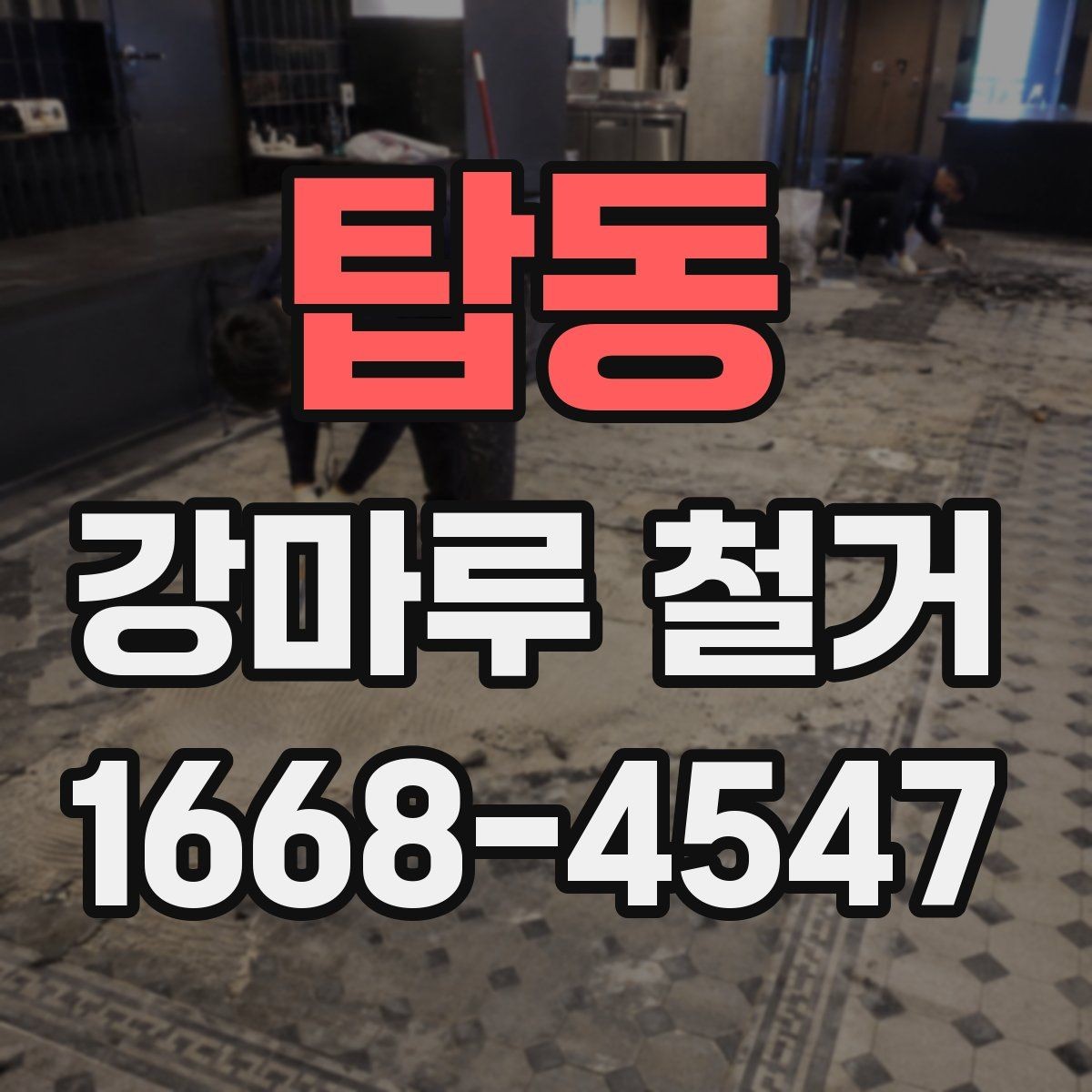 탑동 강마루 철거 후 바닥재 선택 기준