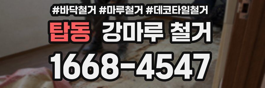 탑동 강마루 철거