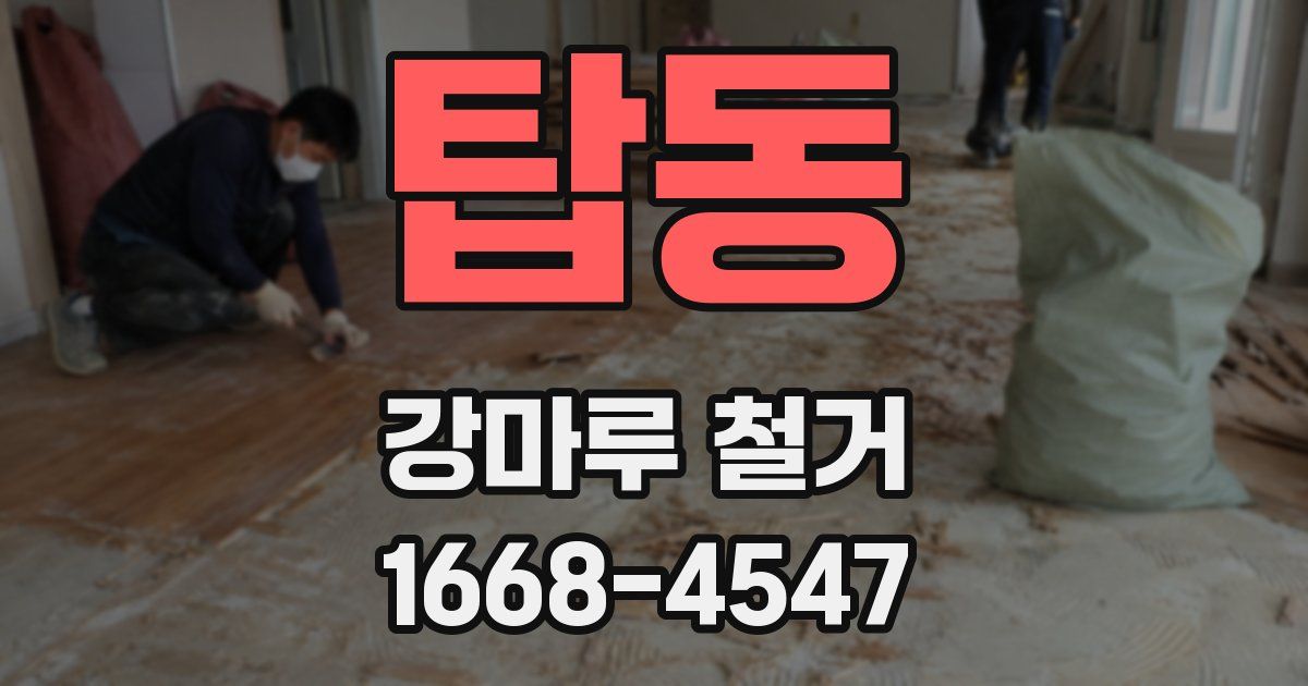 탑동 강마루 철거