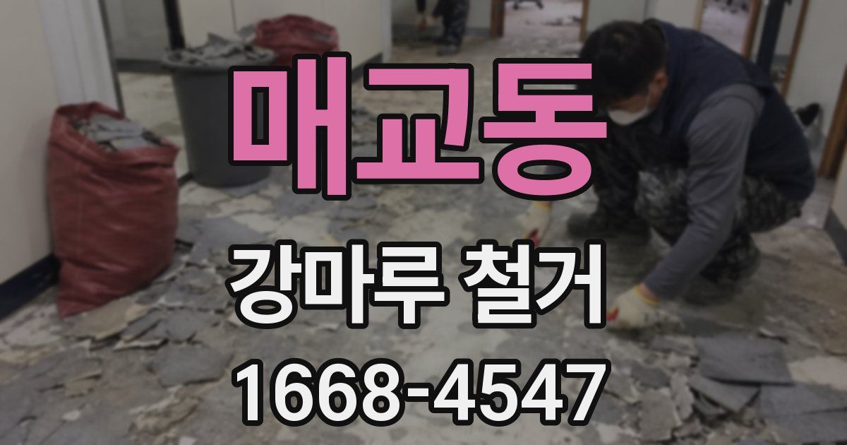 매교동 강마루 철거