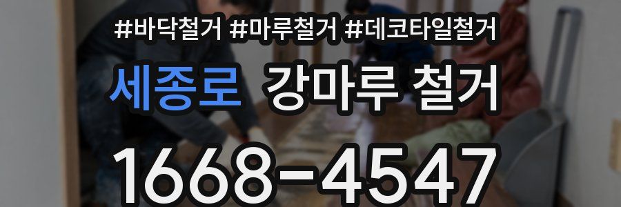 세종로 강마루 철거