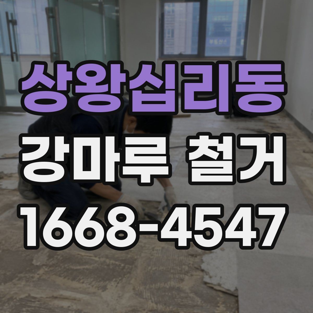 상왕십리동 강마루 철거 후 보양 해제는 언제 할까
