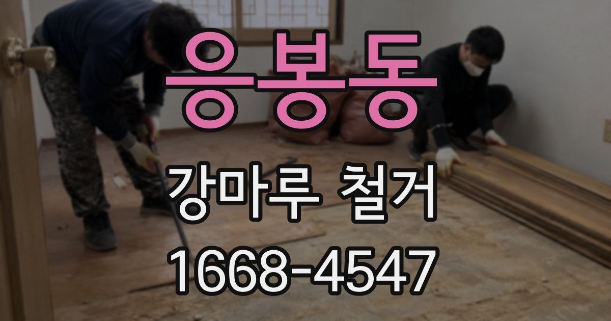 응봉동 강마루 철거