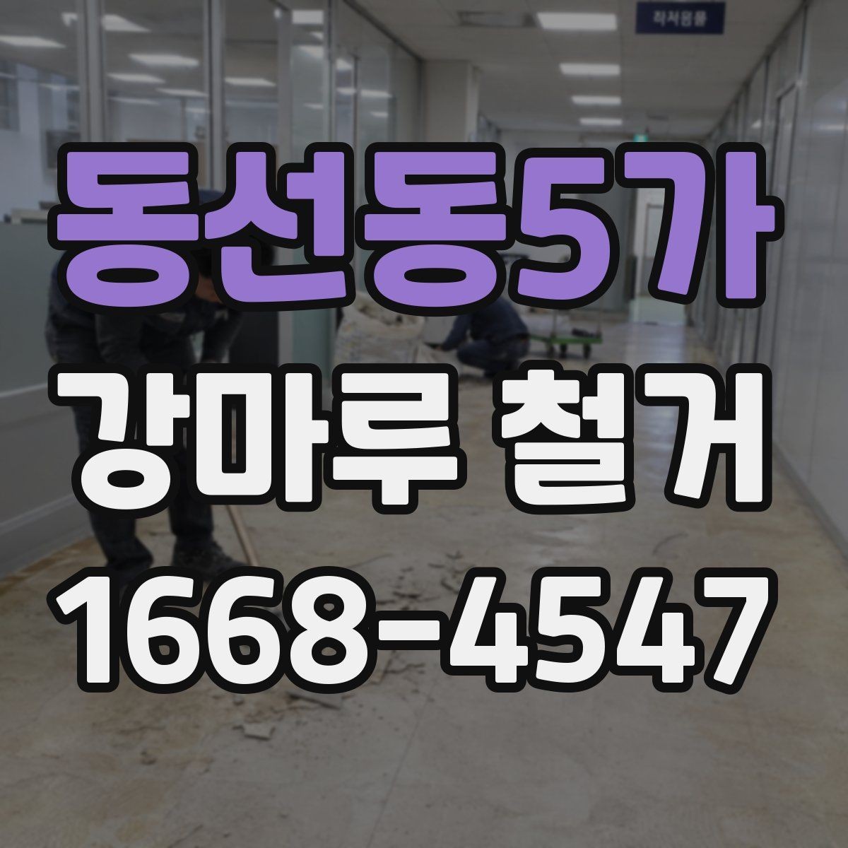 동선동5가 강마루 철거 비용과 일정 확인할 때
