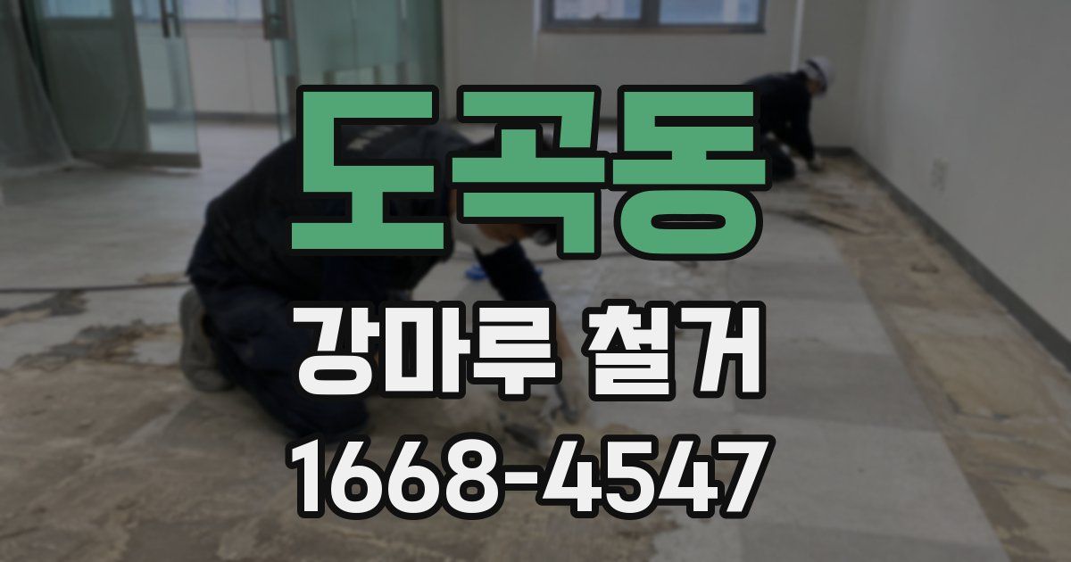 도곡동 강마루 철거