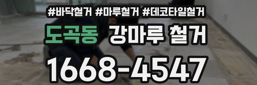 도곡동 강마루 철거