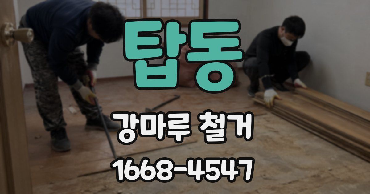 탑동 강마루 철거