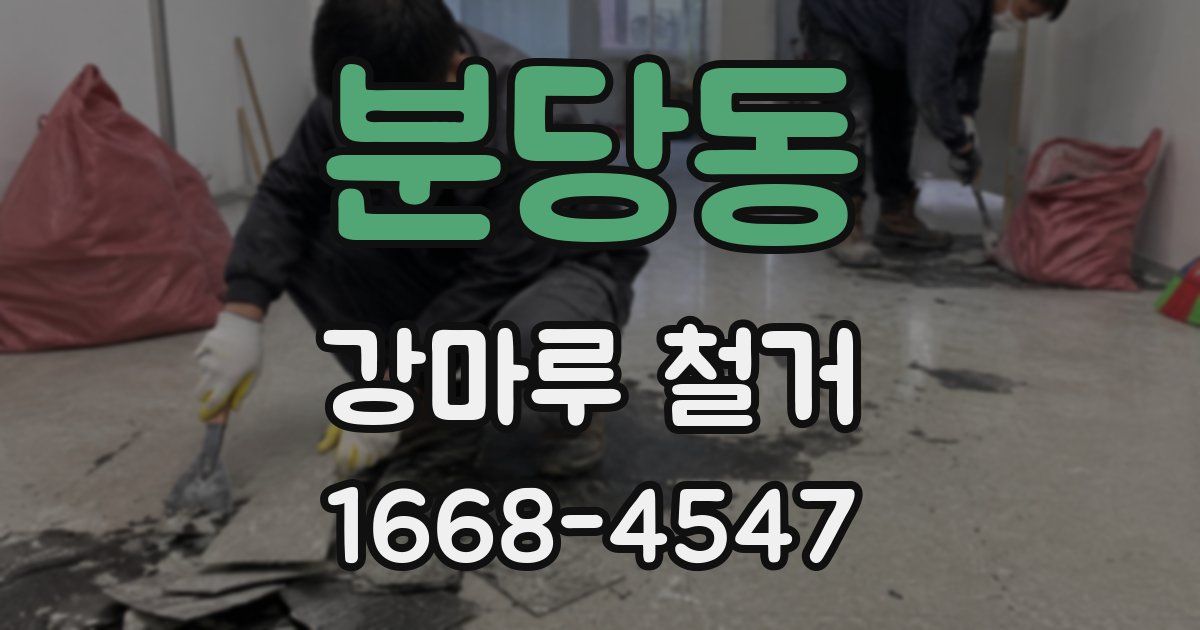 분당동 강마루 철거