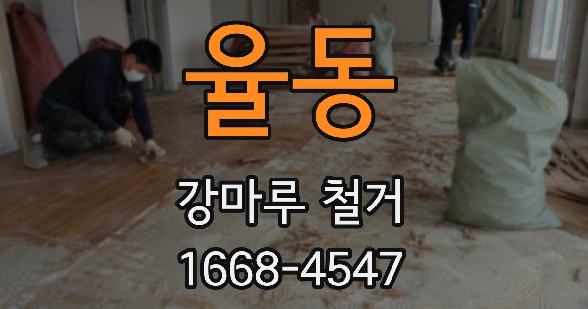 율동 강마루 철거