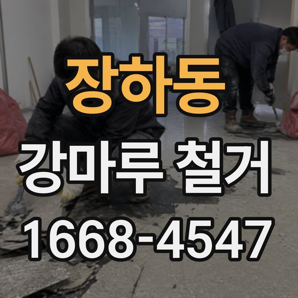 장하동 강마루 철거 일정 잡을 때 고려할 점