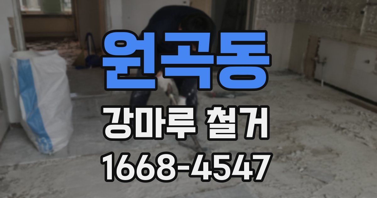 원곡동 강마루 철거