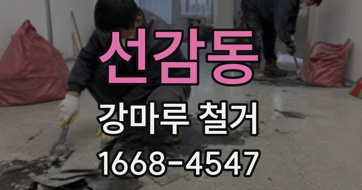 선감동 강마루 철거