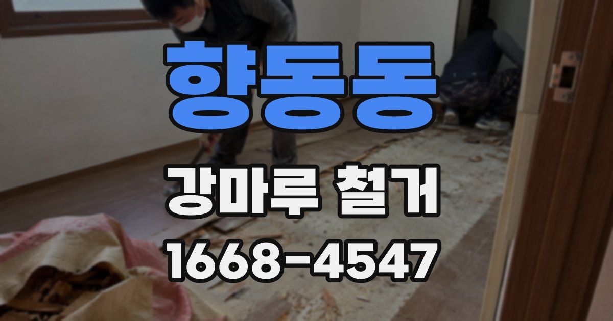 향동동 강마루 철거