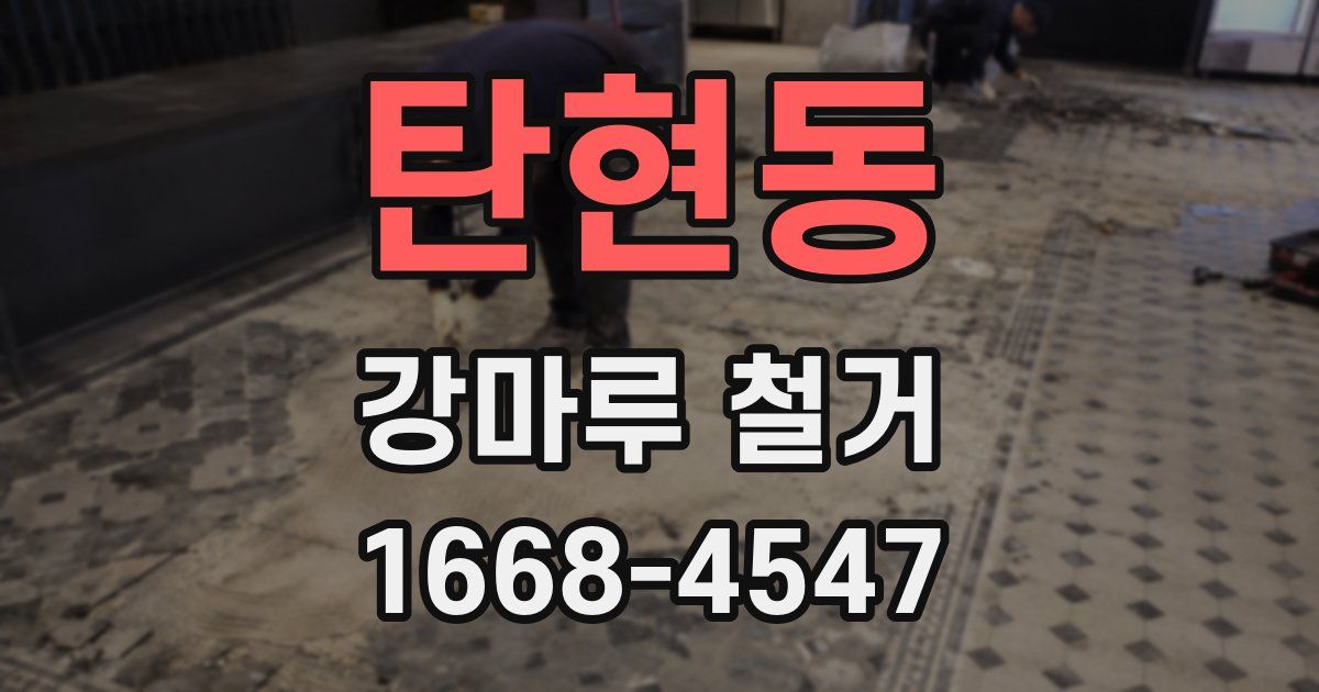 탄현동 강마루 철거