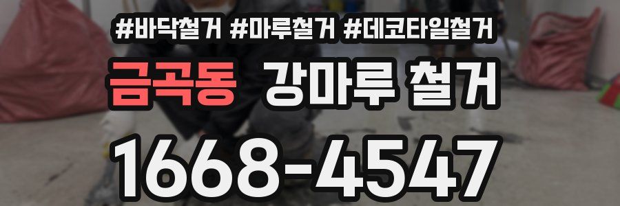 금곡동 강마루 철거