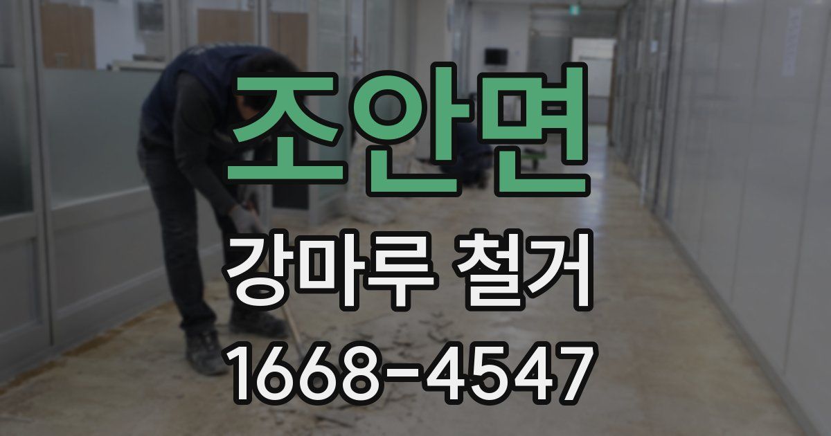 조안면 강마루 철거