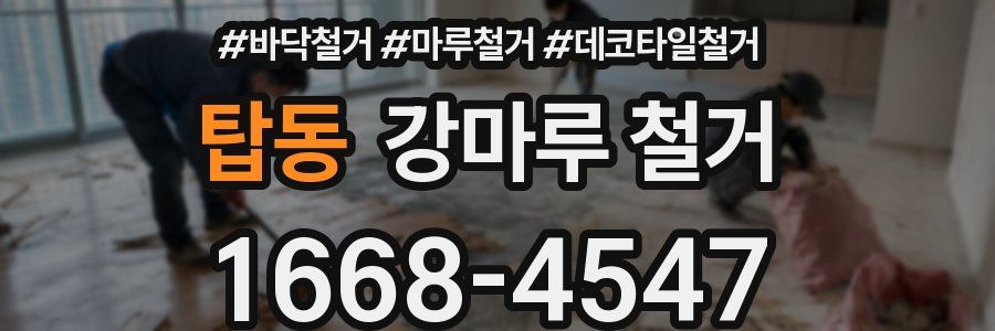 탑동 강마루 철거
